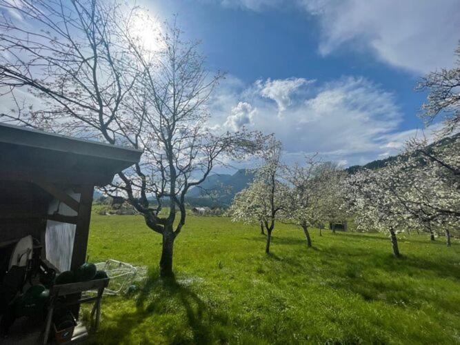 Holiday Home, Soell Экстерьер фото